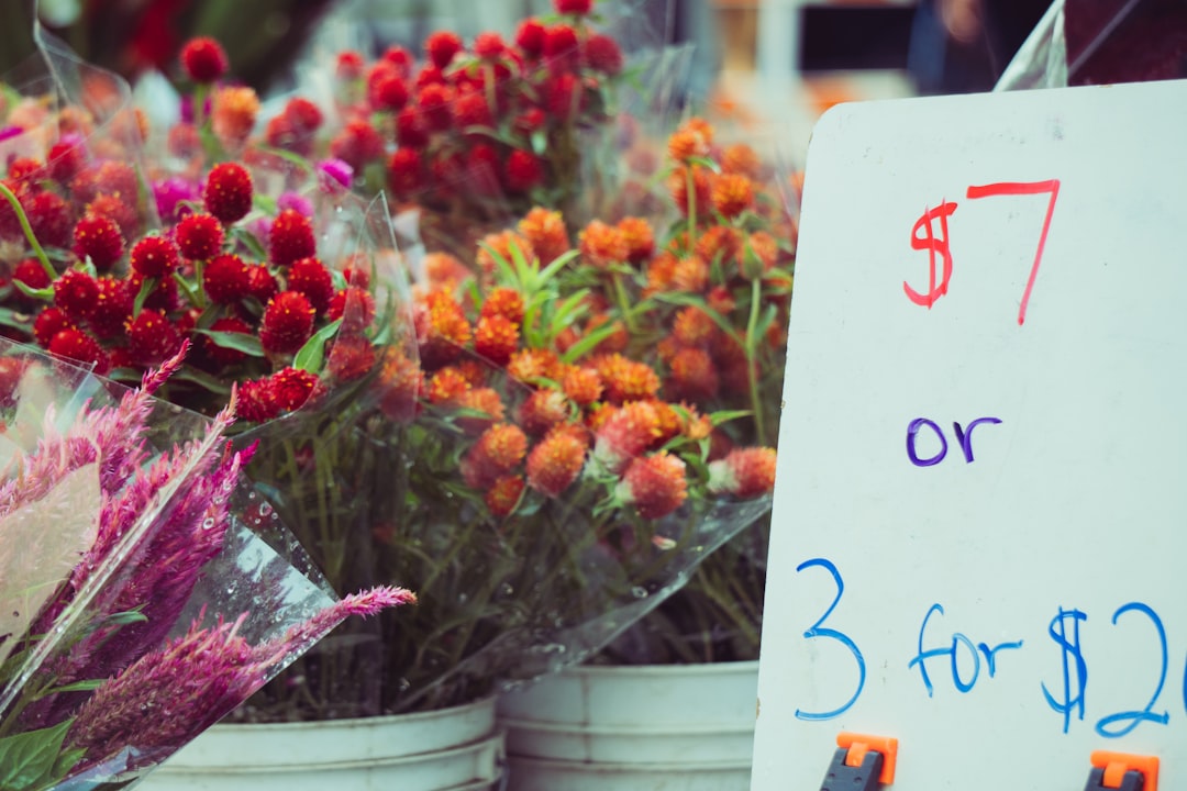 Guía práctica para subir precios y ganar más trabajando menos